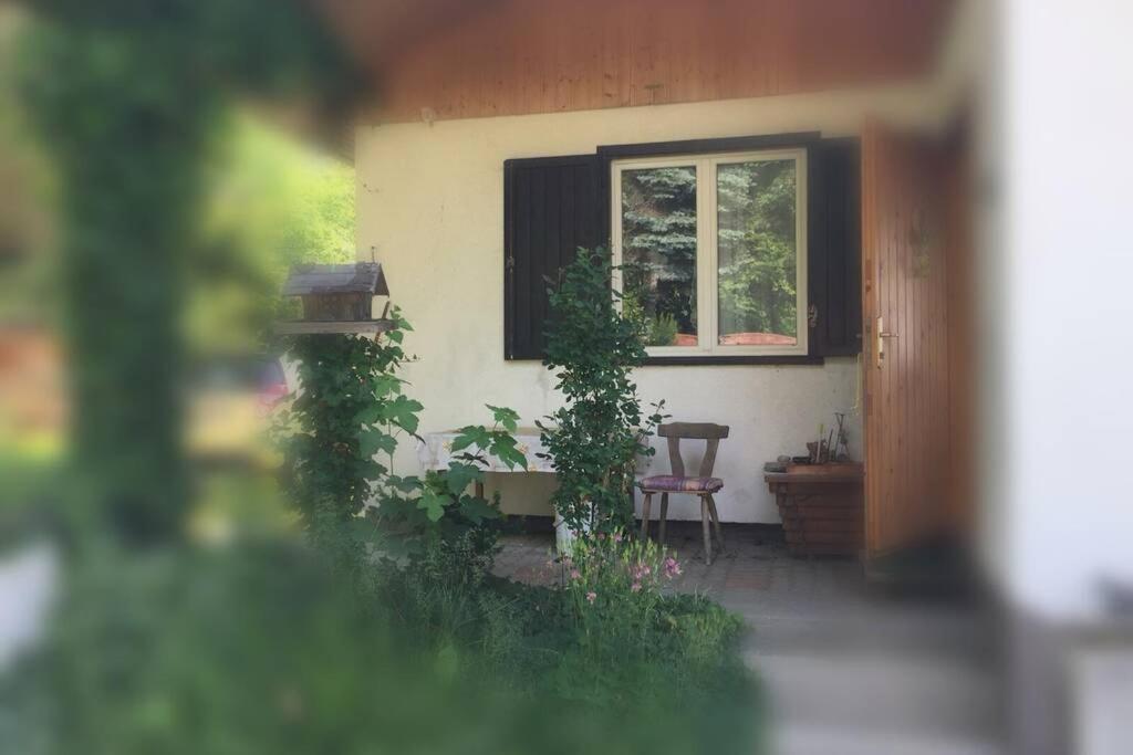 Minihaus In Den Bergen/ Small Mountain House Greith  Exteriör bild